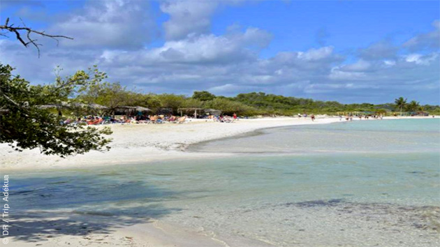 Votre hébergement face à la plage vous permet de profiter à fond de votre séjour kitesurf à Cuba