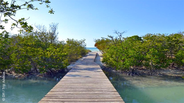 Découvrez Cayo Coco et ses plages splendides pendant ce séjour kitesurf à Cuba