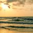 très bon avis de Yanne sur son séjour kitesurf trip adékua en Colombie