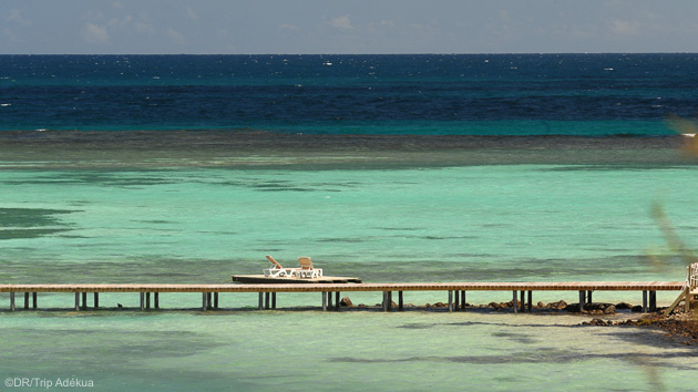 Profitez des meilleurs spots et des plus belles plages de l'île de la Martinique