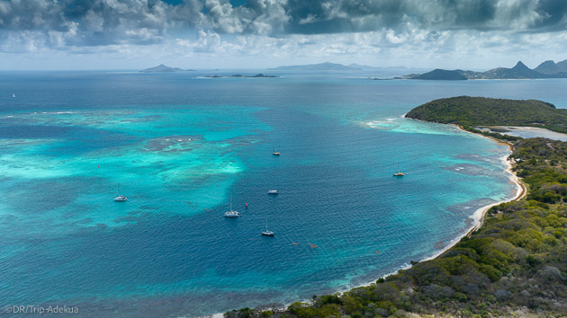 Une croisière de rêve sur les plus beaux spots des Grenadines