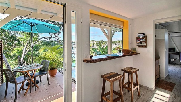 Des vacances wingfoil inoubliables sur l'île de la Guadeloupe