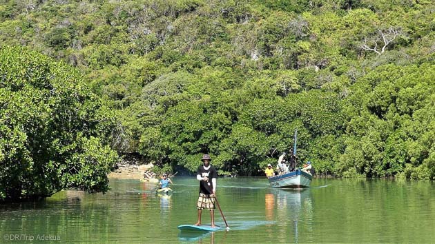 Découvrez la mangrove en SUP pendant votre séjour à Madagascar