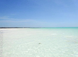 Plongez-vous dans l’ambiance de Zanzibar et de ses richesses - voyages adékua