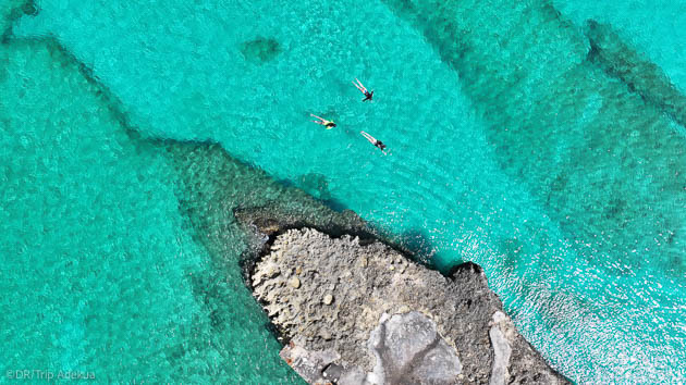 Vacances kite inoubliables aux Caraïbes