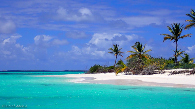 Explorez les Caraïbes pendant votre séjour kitesurf