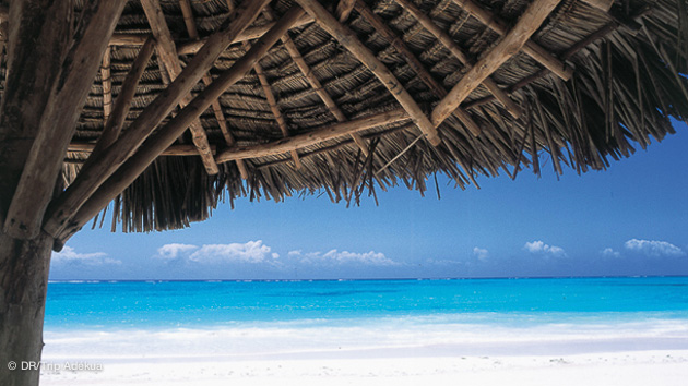 spot de rêve à Zanzibar pour des vacances kite