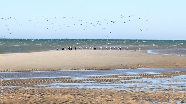 le spot de la Tour d'eole à Dakhla