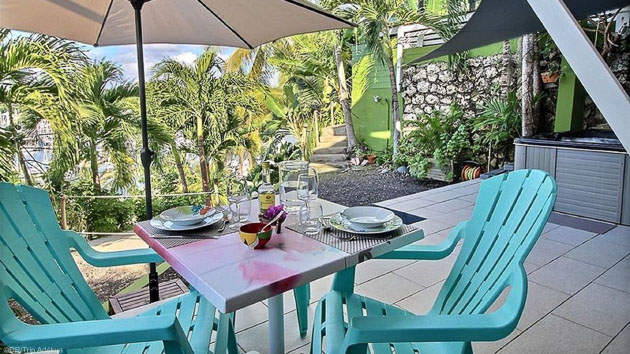 Savourez les moments de détente dans le jardin tropical de votre hébergement