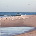 Avis séjour kitesurf à Dakhla au Maroc