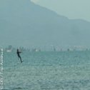 Avis séjour kitesurf dans le Delta de l'Ebre en Espagne