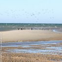 Avis séjour kitesurf à Dakhla au Maroc