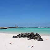 Commentaire Thomas coaching kite Fuerteventura Canaries avec Manu et Trip Adékua