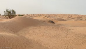 Avis vacances kite à Djerba en Tunisie avec visite du désert