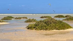 Avis séjour kite et détente à Fuerteventura aux Canaries