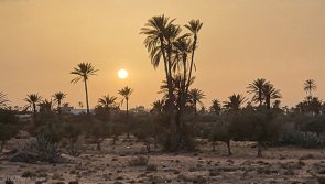 Avis vacances kite en tunisie sur l'île de Djerba