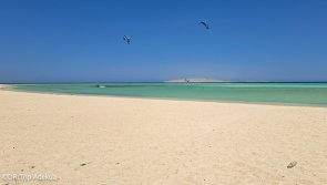 Avis vacances kite en mer Rouge