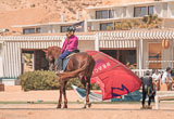 Dakhla : sports nautiques, visites, détente… - voyages adékua